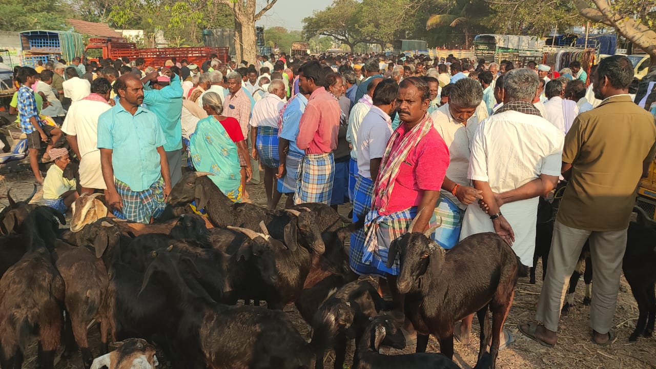 அதியமான் கோட்டை காளியம்மன் தேர் திருவிழாவை முன்னிட்டு நல்லம்பள்ளி வாரச்சந்தை இடமாற்றம்.