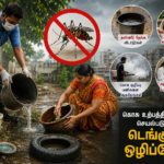 பருவநிலை மாற்றத்தால் டெங்கு அபாயம்.